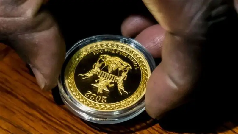 Zimbabwe Reverses Ban on Mobile Money Agents to Boost New Currency