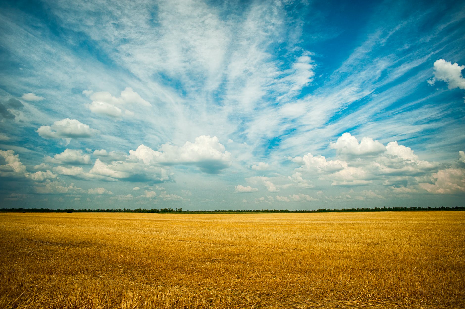 Microsoft South Africa commits R40-million in SA agriculture sector