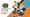 BNPL Firm Aspira Launches Solution to Finance Education