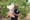 Zambian Good Nature Agro Raises $8.5M Series B Round to Scale Up