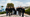 Tunisian AI Startup Clusterlab Secures $600K Pre-Seed Investment to Scale