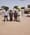 Nigerian Agritech Startup Zowasel receives $100k at the UNWFP Zero Hunger Sprint