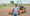 Hello Tractor, Heifer International launch Pay-As-You-Go Tractor funding for Nigerian Agripreneurs