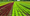 Morocco’s UM6P Ventures Invests in Climate Crop Ltd to Boost Global Food Supply