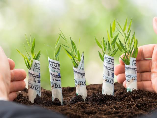 Black Ostrich Ventures Announces $20M Early-stage Fund For African Startups In Emerging Sectors