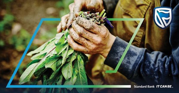 South African Agri-fintech Startup HelloChoice secures Funding from Standard Bank