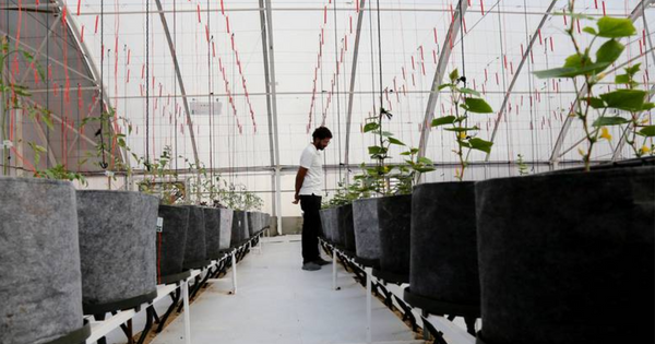 Climate Resilience Fund Launches to Invest in AgriTech and ‘Nature-Positive’ Startups in MENA
