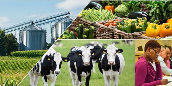 How Mastercard’s Partnership with EcoBank is Digitizing Agricultural Value Chain in Africa through Farm Pass