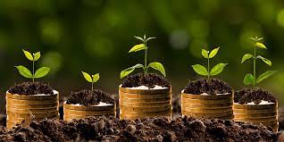 Pillow Fund Launches Interest Generating Savings App in Nigeria