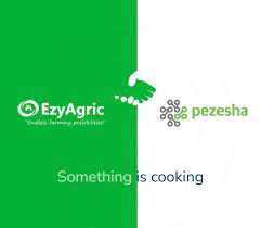 EzyAgric Partners with Pezesha To Launch BNPL In Uganda