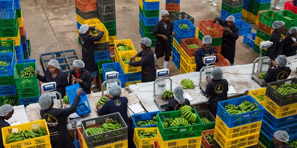 Twiga Foods To Manage Wastage Via Google Tech Partnership