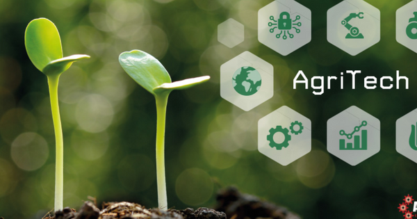 THE ROLE OF AGRITECH IN ENSURING FOOD SECURITY IN NIGERIA