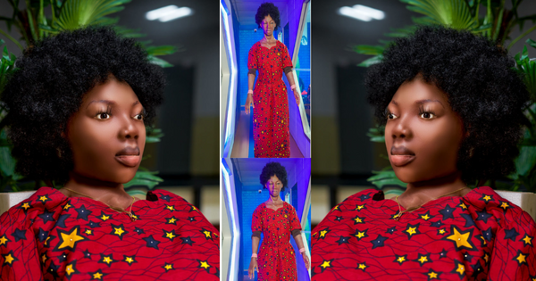 4IR Taking Shape in Africa: Robotic and Humanoid in Focus