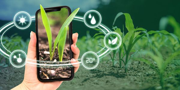Algeria Reliance On Agritech, Digital, Mechanized