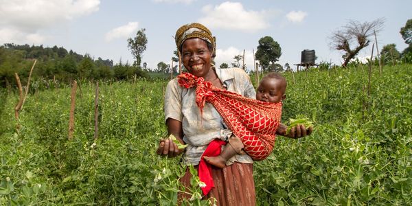 Strengthening Financial Inclusion in the Rest of Southern Africa